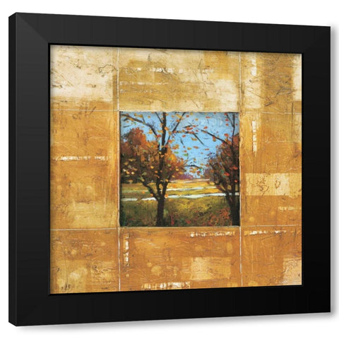 Terranova II Black Modern Wood Framed Art Print by Alexander, Zachary