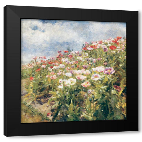 Seaside Poppies Black Modern Wood Framed Art Print with Double Matting by Egner| Marie