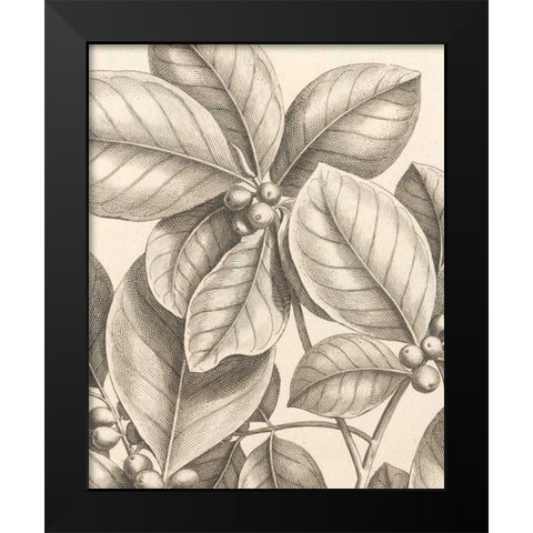 Tropical Connection I Black Modern Wood Framed Art Print by Van Houtte, Louis