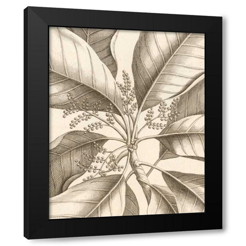 Tropical Connection II Black Modern Wood Framed Art Print with Double Matting by Van Houtte, Louis