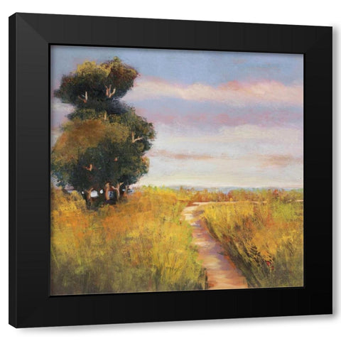 Low Country Landscape I Black Modern Wood Framed Art Print by Rogers, Adam