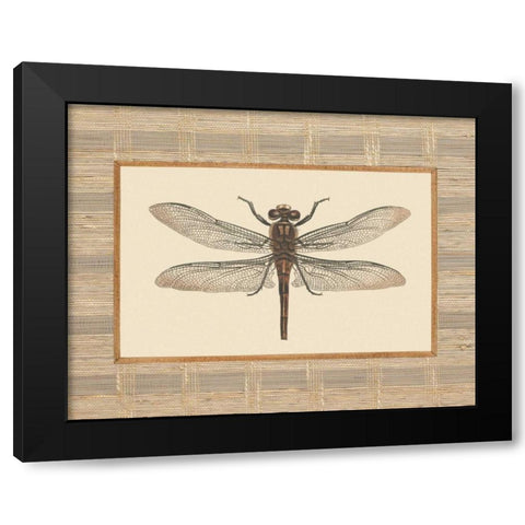 Delicate Dancer I Black Modern Wood Framed Art Print by Chilton, Sarah E