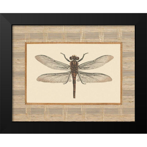 Delicate Dancer I Black Modern Wood Framed Art Print by Chilton, Sarah E
