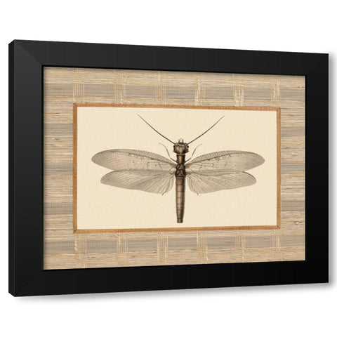 Delicate Dancer II Black Modern Wood Framed Art Print by Chilton, Sarah E