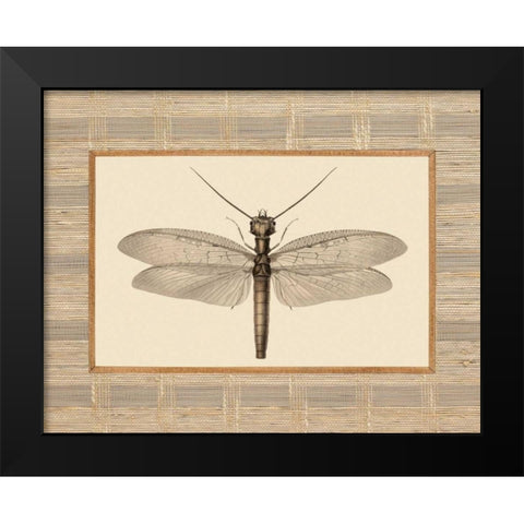 Delicate Dancer II Black Modern Wood Framed Art Print by Chilton, Sarah E