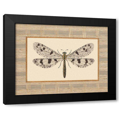 Delicate Dancer III Black Modern Wood Framed Art Print by Chilton, Sarah E