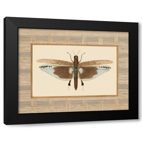 Delicate Dancer IV Black Modern Wood Framed Art Print by Chilton, Sarah E