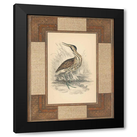 Marshland Bittern Black Modern Wood Framed Art Print by Reynolds, Alastair