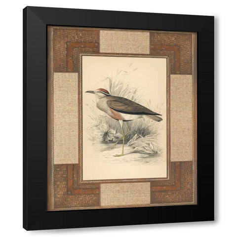 Lowland Courier Black Modern Wood Framed Art Print by Reynolds, Alastair