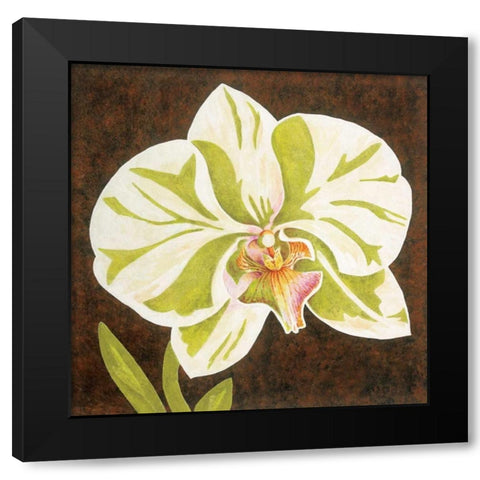 Surabaya Orchid Petites A Black Modern Wood Framed Art Print with Double Matting by Shelby, Judy