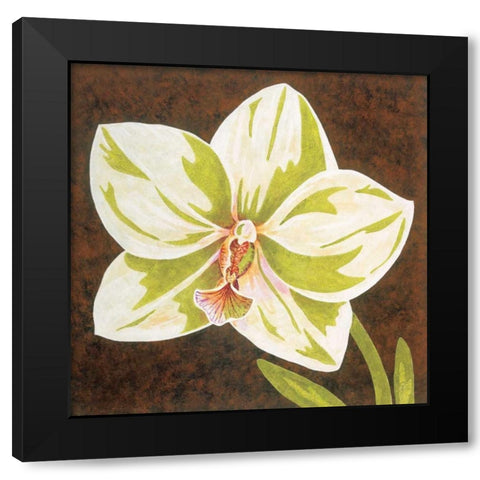 Surabaya Orchid Petites B Black Modern Wood Framed Art Print by Shelby, Judy