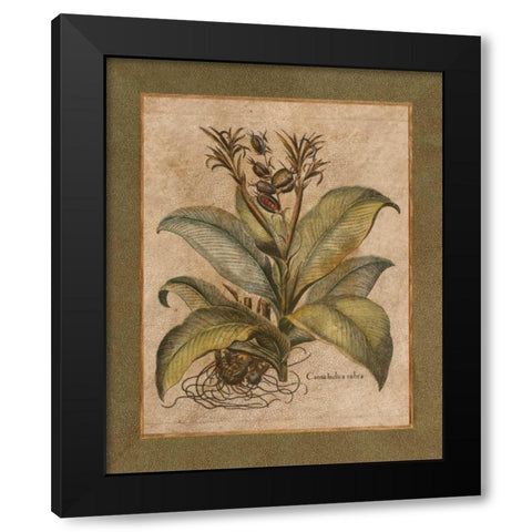 Valencia I Black Modern Wood Framed Art Print with Double Matting by Alexander, Zachary