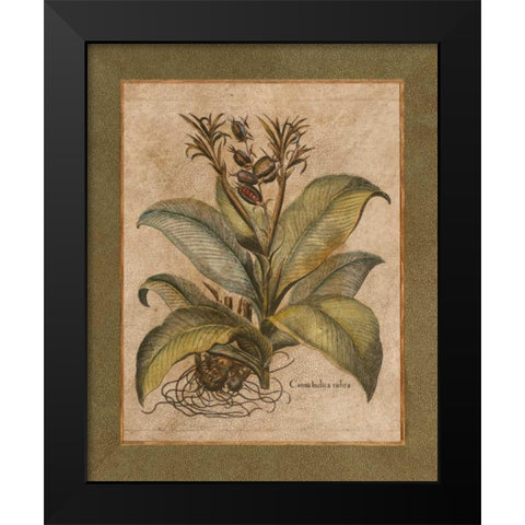 Valencia I Black Modern Wood Framed Art Print by Alexander, Zachary