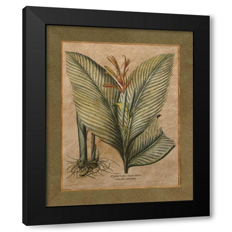 Valencia II Black Modern Wood Framed Art Print with Double Matting by Alexander, Zachary