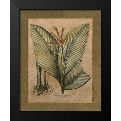 Valencia II Black Modern Wood Framed Art Print by Alexander, Zachary
