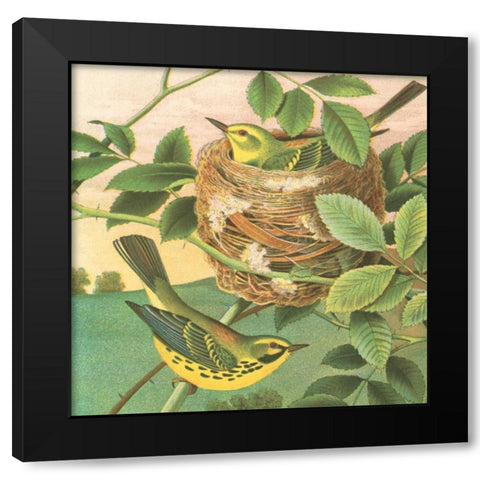 Goldfinch and Warbler B Black Modern Wood Framed Art Print by Gould, John