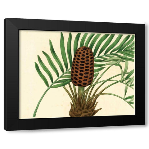 Palmetto III Black Modern Wood Framed Art Print by Alexander, Zachary