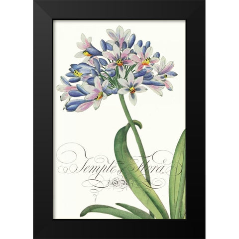 Modern Atelier I Black Modern Wood Framed Art Print by Chilton, Sarah E