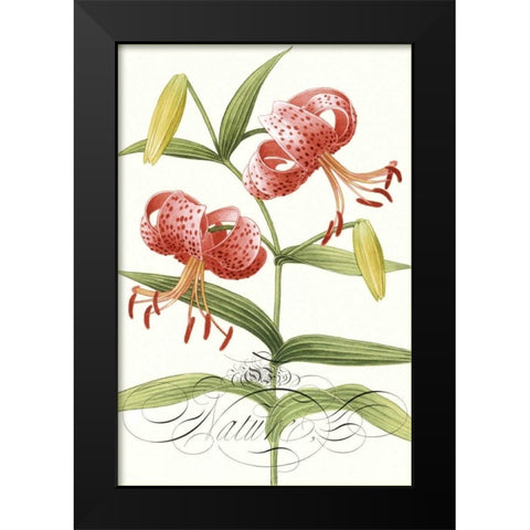 Modern Atelier II Black Modern Wood Framed Art Print by Chilton, Sarah E