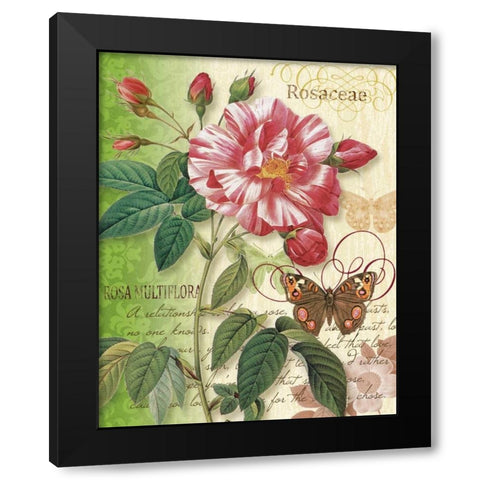 Rose Splendor I Black Modern Wood Framed Art Print with Double Matting by Han, Ching