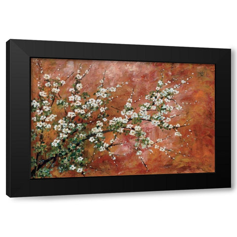 Wild Plum Blossoms Black Modern Wood Framed Art Print with Double Matting by Alexander, Zachary