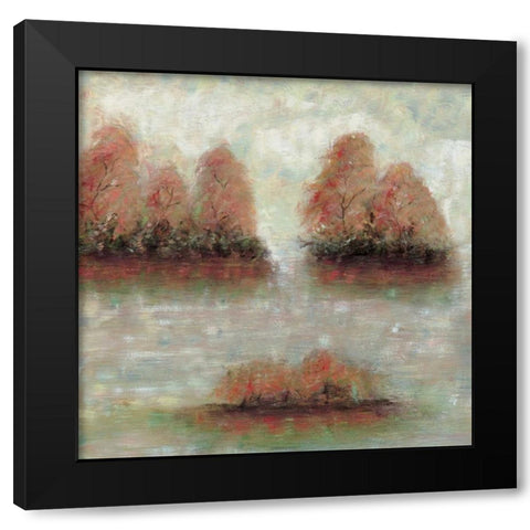 Tamarac Shores I Black Modern Wood Framed Art Print by Roth, Jack