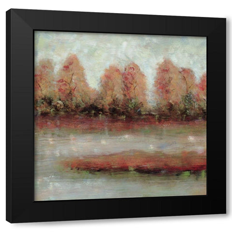 Tamarac Shores II Black Modern Wood Framed Art Print by Roth, Jack