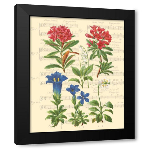 Allegro I Black Modern Wood Framed Art Print with Double Matting by Paschal, Irene