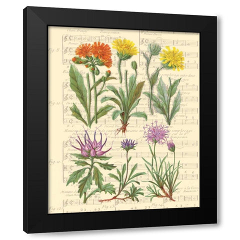 Allegro II Black Modern Wood Framed Art Print by Paschal, Irene