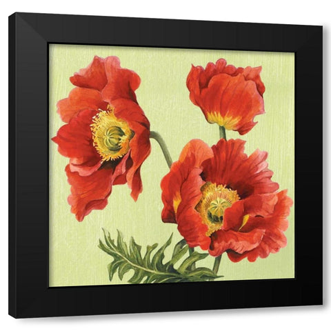 Chelsea Sensation II Black Modern Wood Framed Art Print by Shelby, Judy