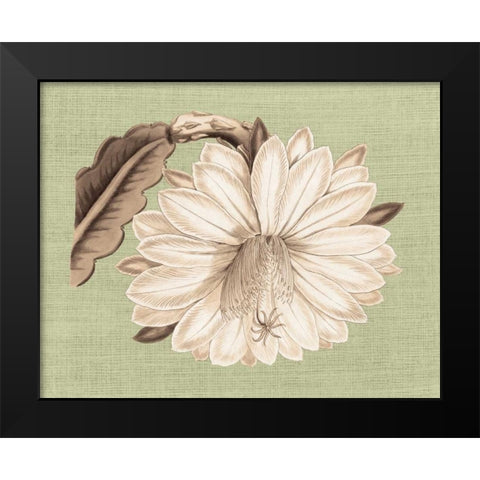 Regence Lily II Black Modern Wood Framed Art Print by Chilton, Sarah E