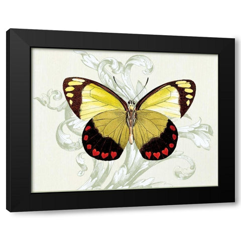 Butterfly Theme II Black Modern Wood Framed Art Print by Davies, Susan
