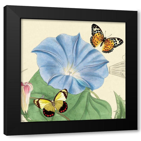 Country Cousins I Black Modern Wood Framed Art Print with Double Matting by Alexander, Zachary