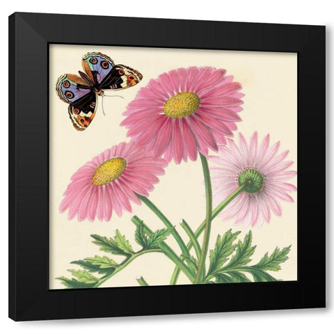 Country Cousins II Black Modern Wood Framed Art Print with Double Matting by Alexander, Zachary