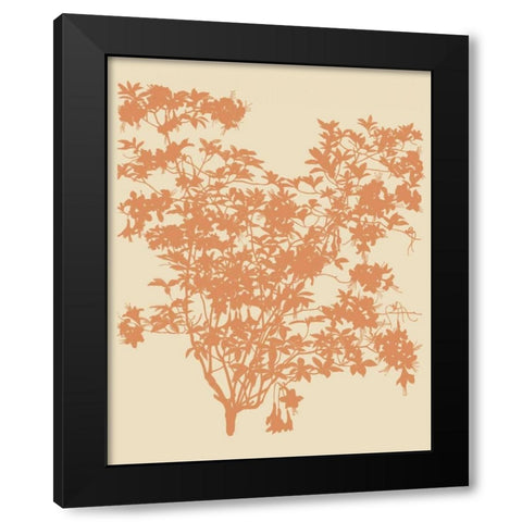 All American I Black Modern Wood Framed Art Print with Double Matting by Davies, Susan