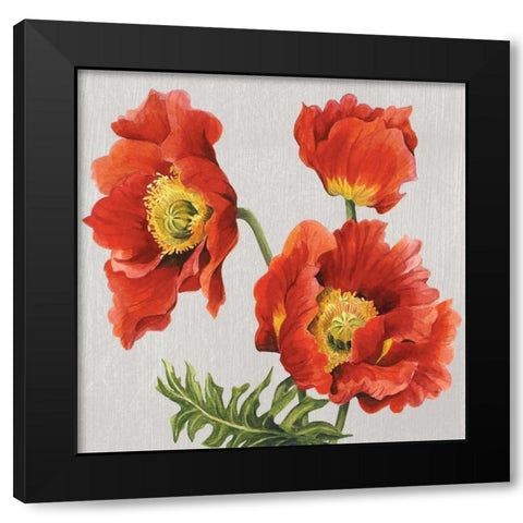 Poppies on Silk Black Modern Wood Framed Art Print with Double Matting by Shelby, Judy