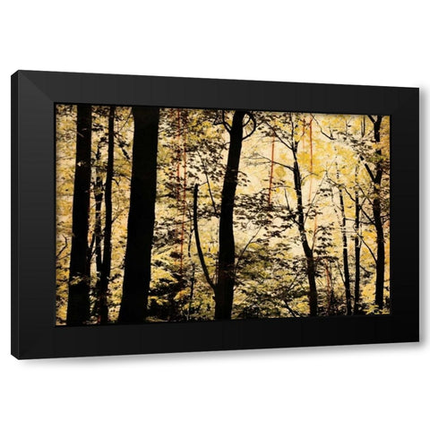 Golden Wood Black Modern Wood Framed Art Print by Nicole, Lily