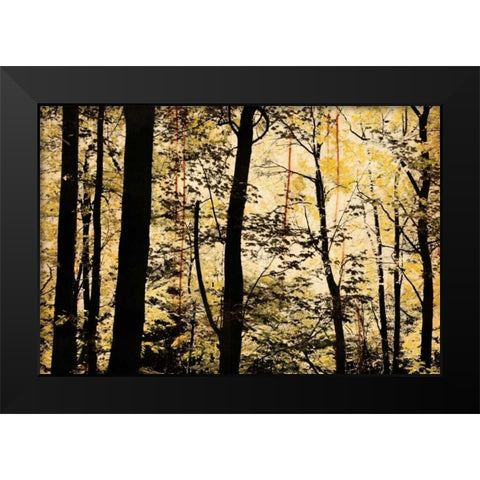 Golden Wood Black Modern Wood Framed Art Print by Nicole, Lily