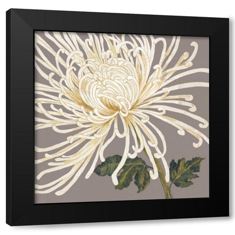 Grande and Glorious Black Modern Wood Framed Art Print with Double Matting by Shelby, Judy