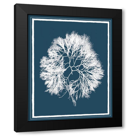 Indigo Seas IV Black Modern Wood Framed Art Print with Double Matting by Lawrence, David