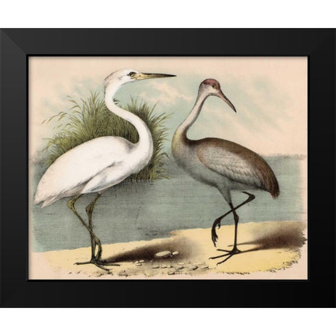 Coastal Visitors IÂ Â Â   Black Modern Wood Framed Art Print by Brunswick, Nathaniel