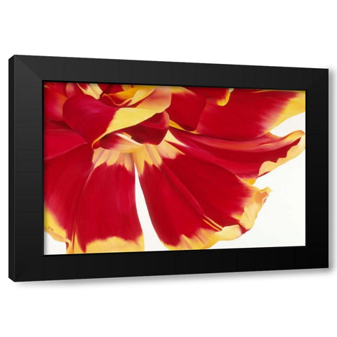 Floriade III Black Modern Wood Framed Art Print with Double Matting by Poelstra-Holzhaus, Yvonne