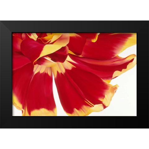 Floriade III Black Modern Wood Framed Art Print by Poelstra-Holzhaus, Yvonne