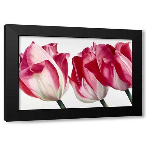 Floriade V Black Modern Wood Framed Art Print with Double Matting by Poelstra-Holzhaus, Yvonne