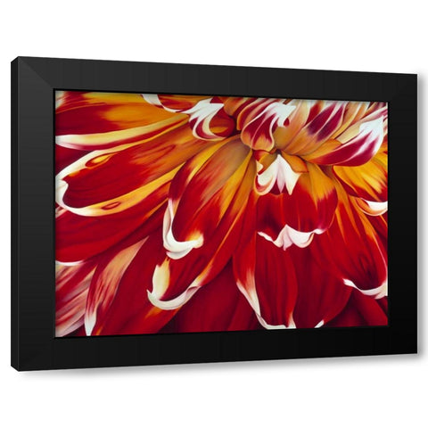 Redony Black Modern Wood Framed Art Print with Double Matting by Poelstra-Holzhaus, Yvonne