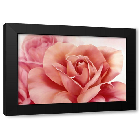 Pink Rose II Black Modern Wood Framed Art Print with Double Matting by Poelstra-Holzhaus, Yvonne