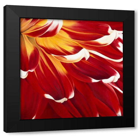 Colourful Floral I Black Modern Wood Framed Art Print with Double Matting by Poelstra-Holzhaus, Yvonne
