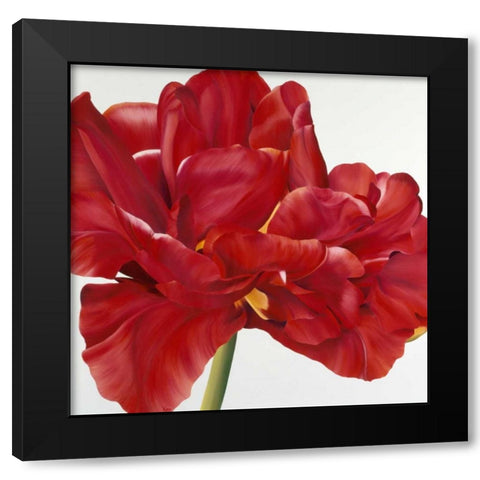Colourful Floral II Black Modern Wood Framed Art Print by Poelstra-Holzhaus, Yvonne