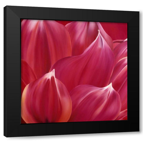 Close up  Black Modern Wood Framed Art Print with Double Matting by Poelstra-Holzhaus, Yvonne