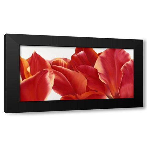Fancy Flower I Black Modern Wood Framed Art Print with Double Matting by Poelstra-Holzhaus, Yvonne